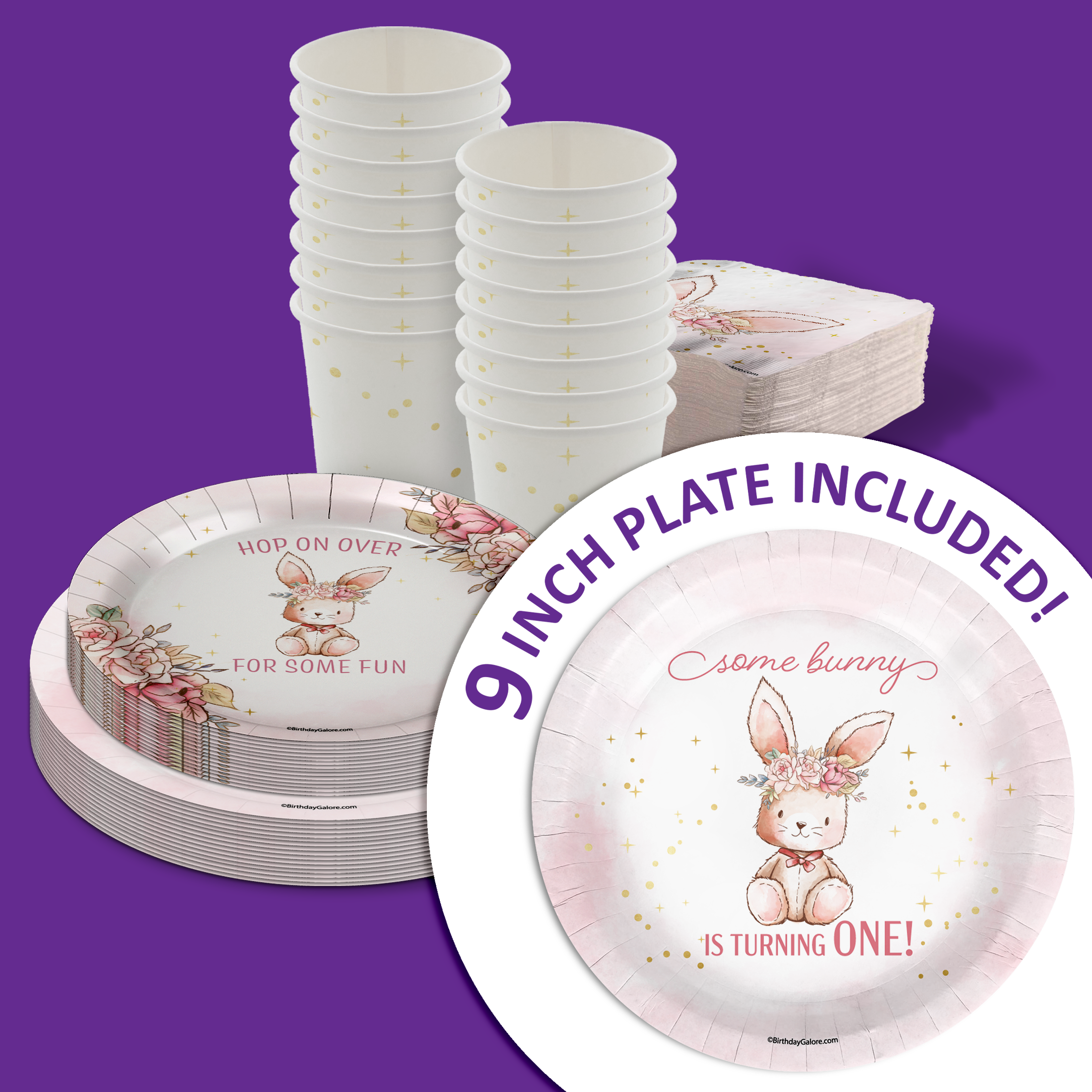 Some Bunny is Turning One 1st Birthday Party Supplies 64 Piece Tableware Set Includes Large 9" Paper Plates Dessert Plates, Cups and Napkins Kit for 16