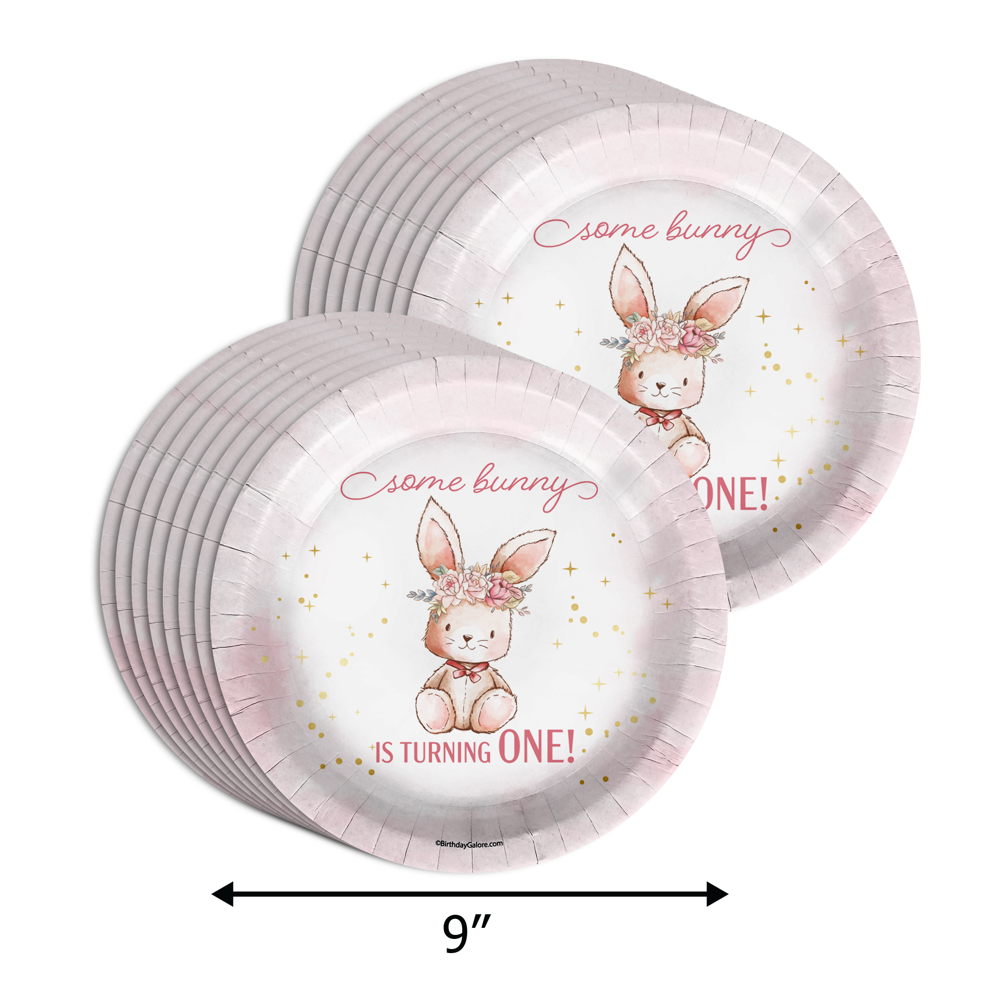 Some Bunny is Turning One 1st Birthday Party Supplies 64 Piece Tableware Set Includes Large 9" Paper Plates Dessert Plates, Cups and Napkins Kit for 16
