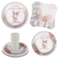 Some Bunny is Turning One 1st Birthday Party Supplies 64 Piece Tableware Set Includes Large 9" Paper Plates Dessert Plates, Cups and Napkins Kit for 16