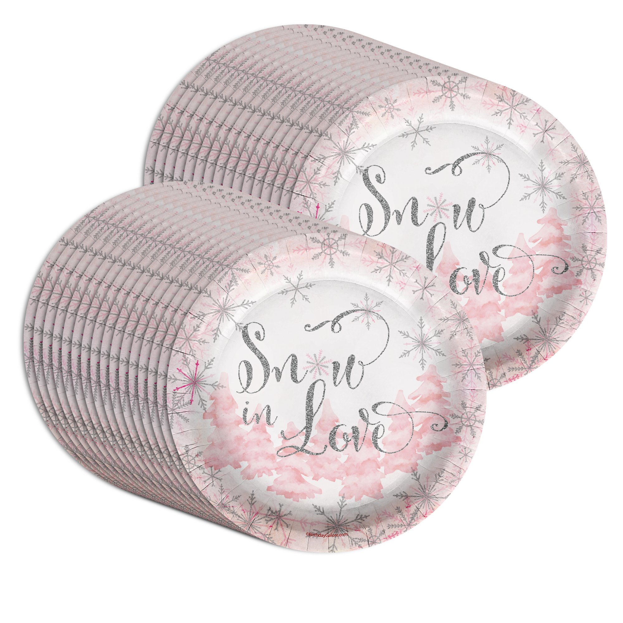 Snow in Love Bridal Shower Party 9" Dinner Plates 32 Count
