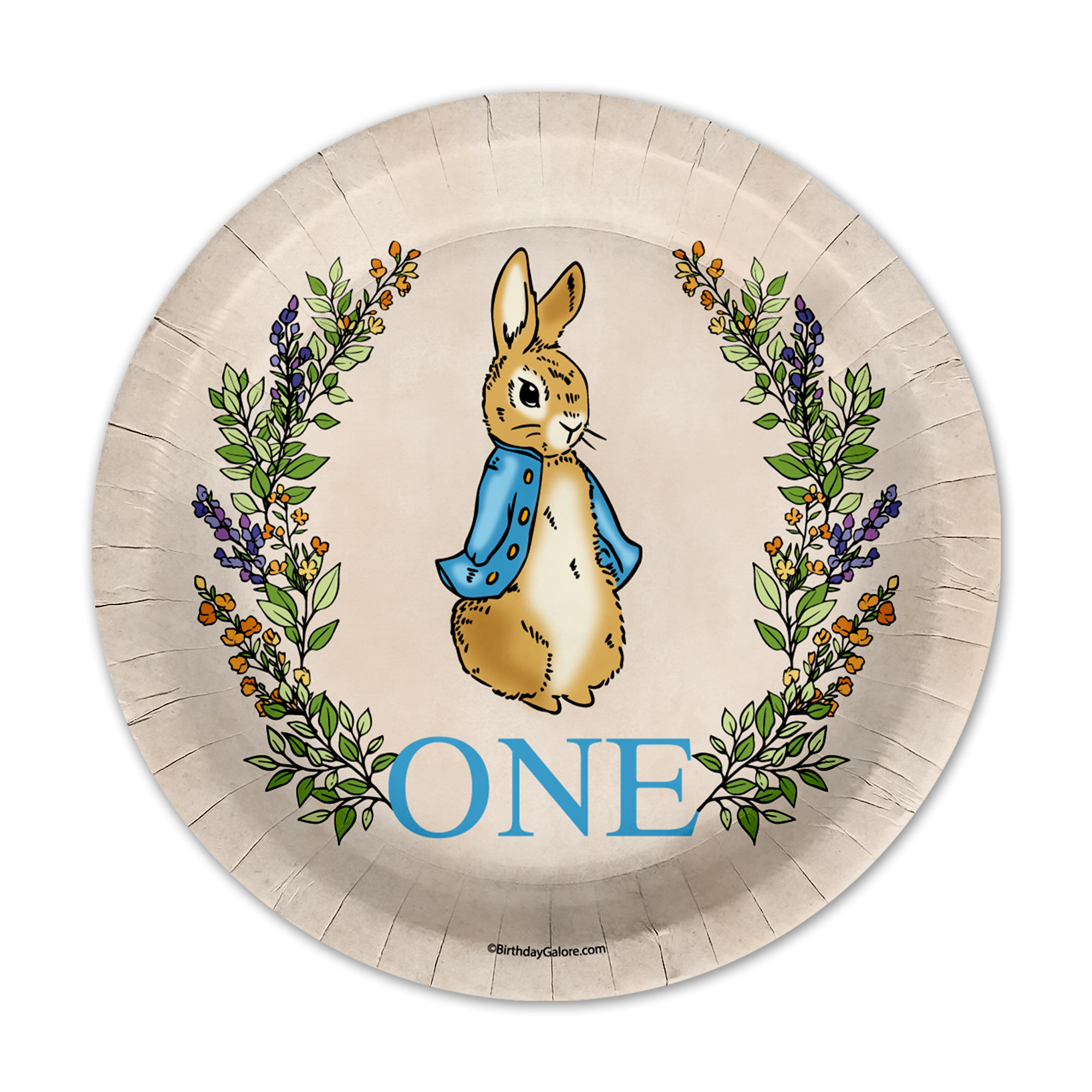 Peter Rabbit Boy's 1st Birthday Paper Plates - 64 Piece Tableware Set Includes Large 9" Paper Plates Dessert Plates, Cups and Napkins Kit for 16