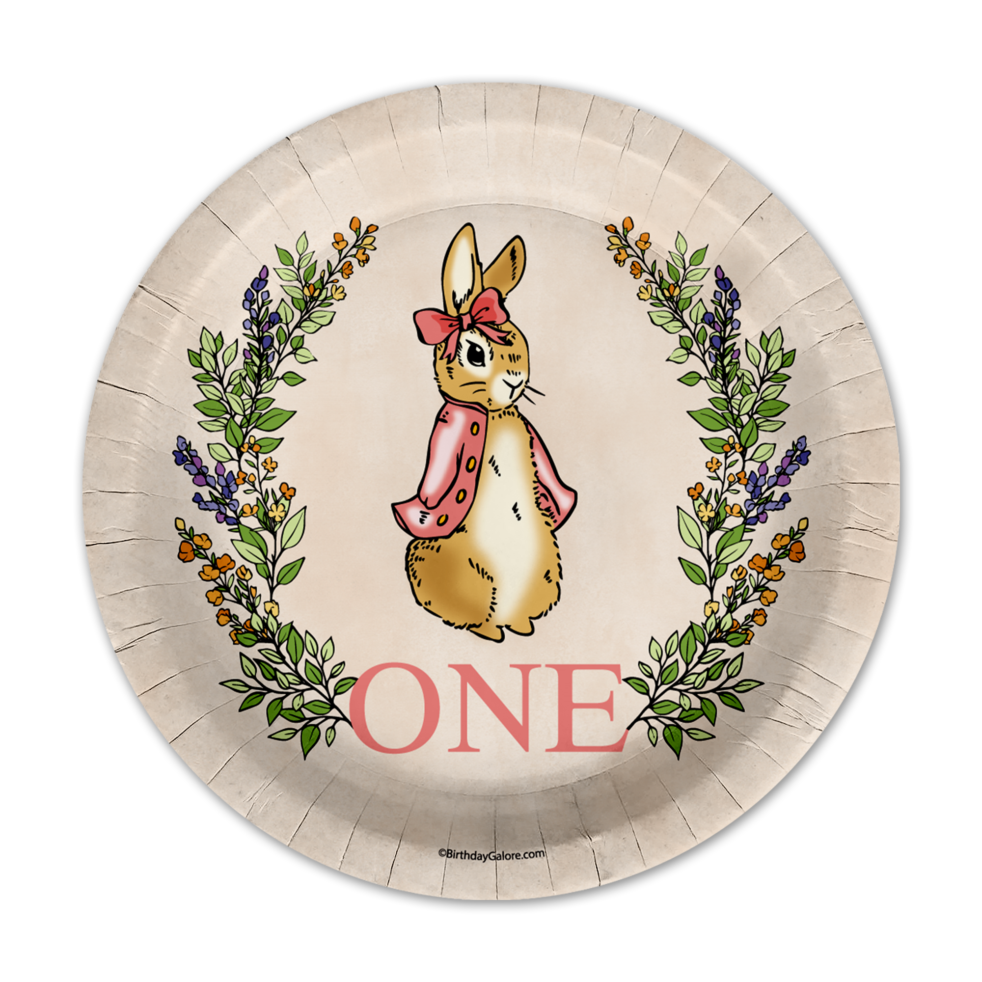 Peter Rabbit Girl's 1st Birthday Paper Plates - 64 Piece Tableware Set Includes Large 9" Paper Plates Dessert Plates, Cups and Napkins Kit for 16