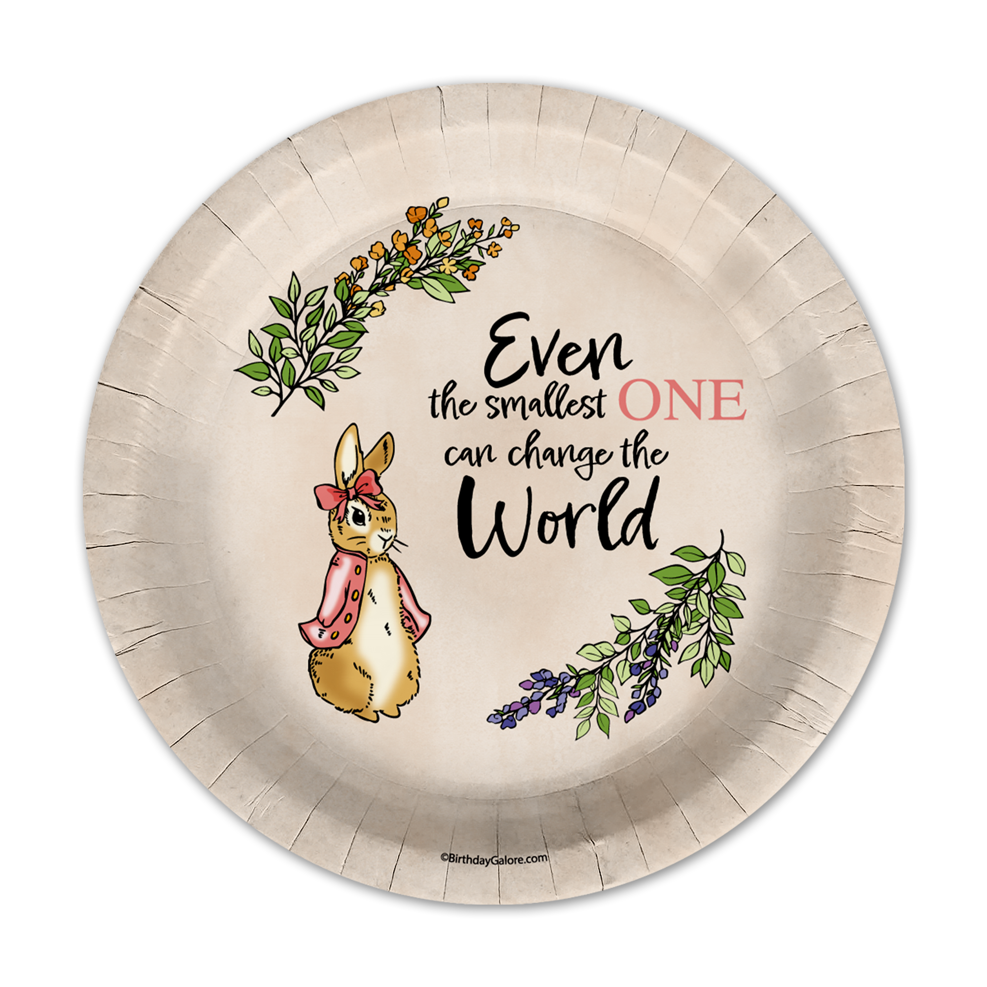 Peter Rabbit Girl's Baby Shower Party Supplies 64 Piece Tableware Set Includes Large 9" Paper Plates Dessert Plates, Cups and Napkins Kit for 16