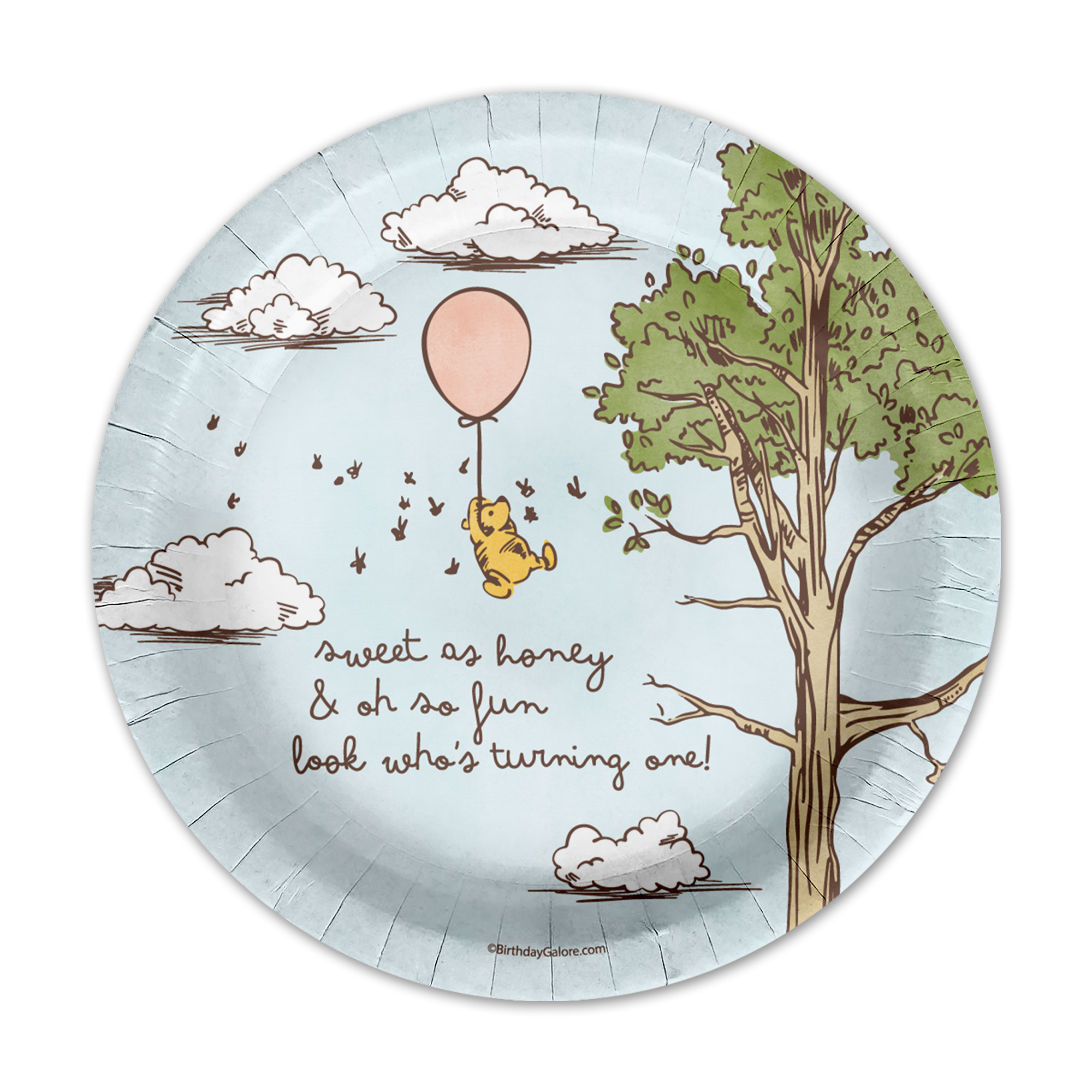 Winnie the Pooh 1st Birthday Paper Plates - 64 Piece Tableware Set Includes Large 9" Paper Plates Dessert Plates, Cups and Napkins Kit for 16