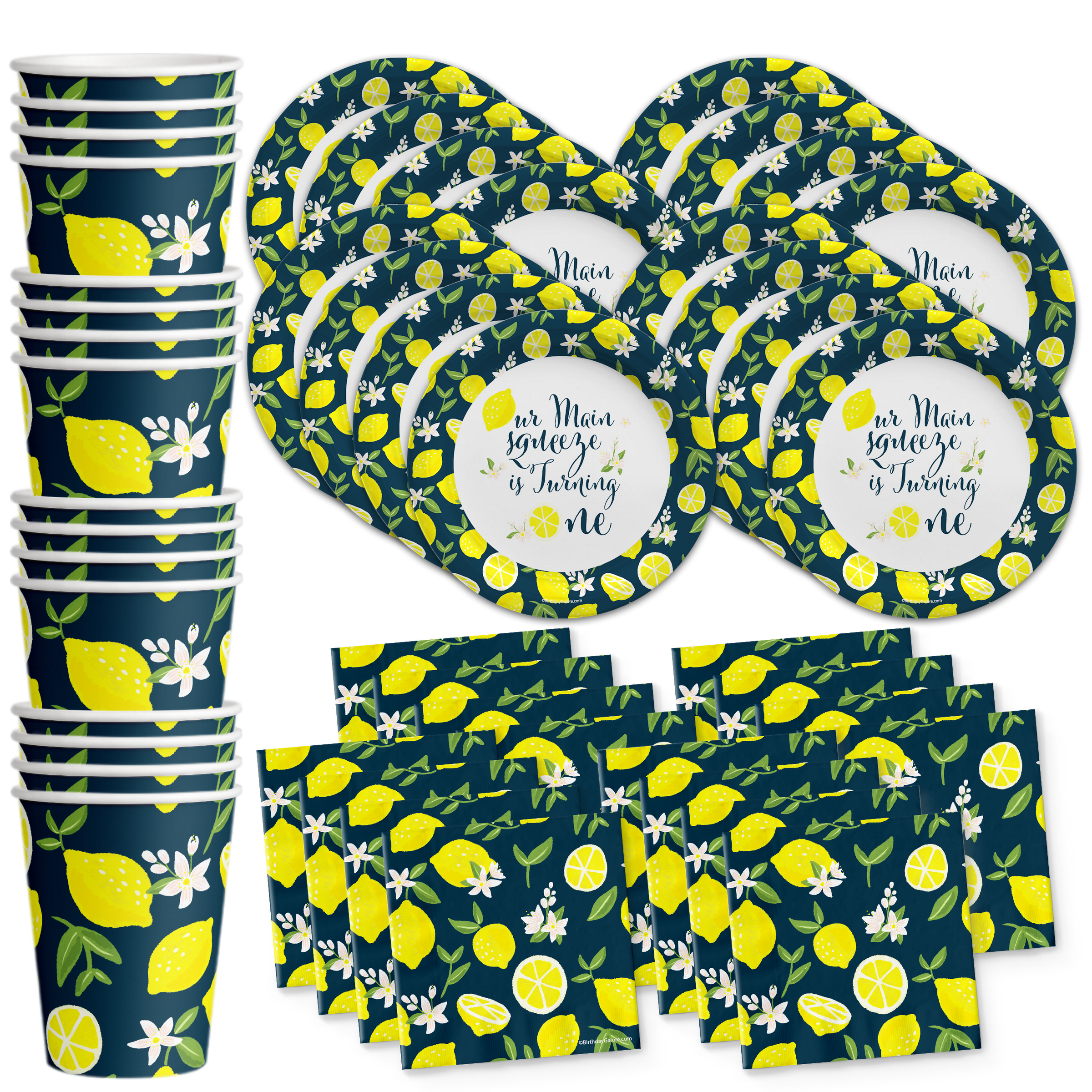 Our Main Squeeze is Turning One Lemon 1st Birthday Party Tableware Kit