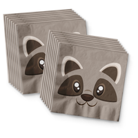 Raccoon Birthday Party Tableware Kit For 16 Guests