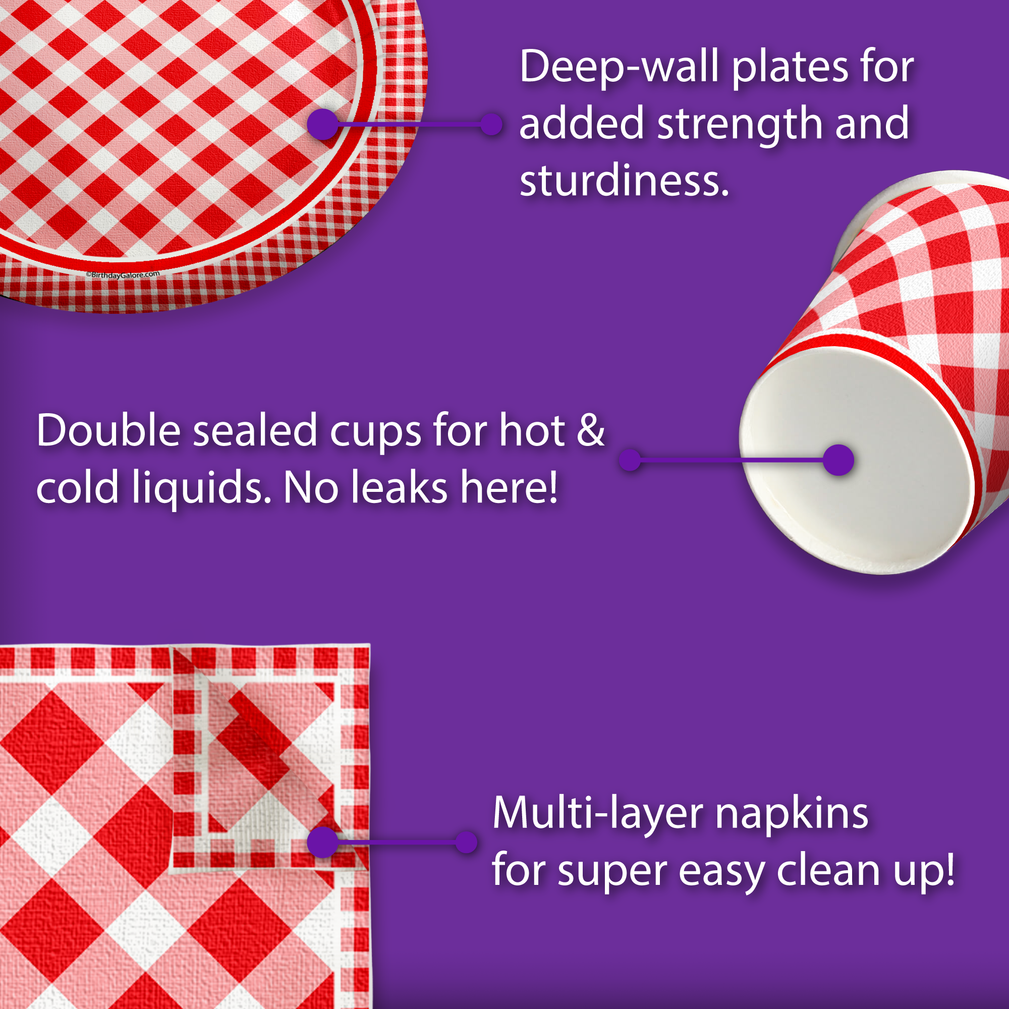 Red Gingham Picnic/BBQ Birthday Party Tableware Kit For 16 Guests