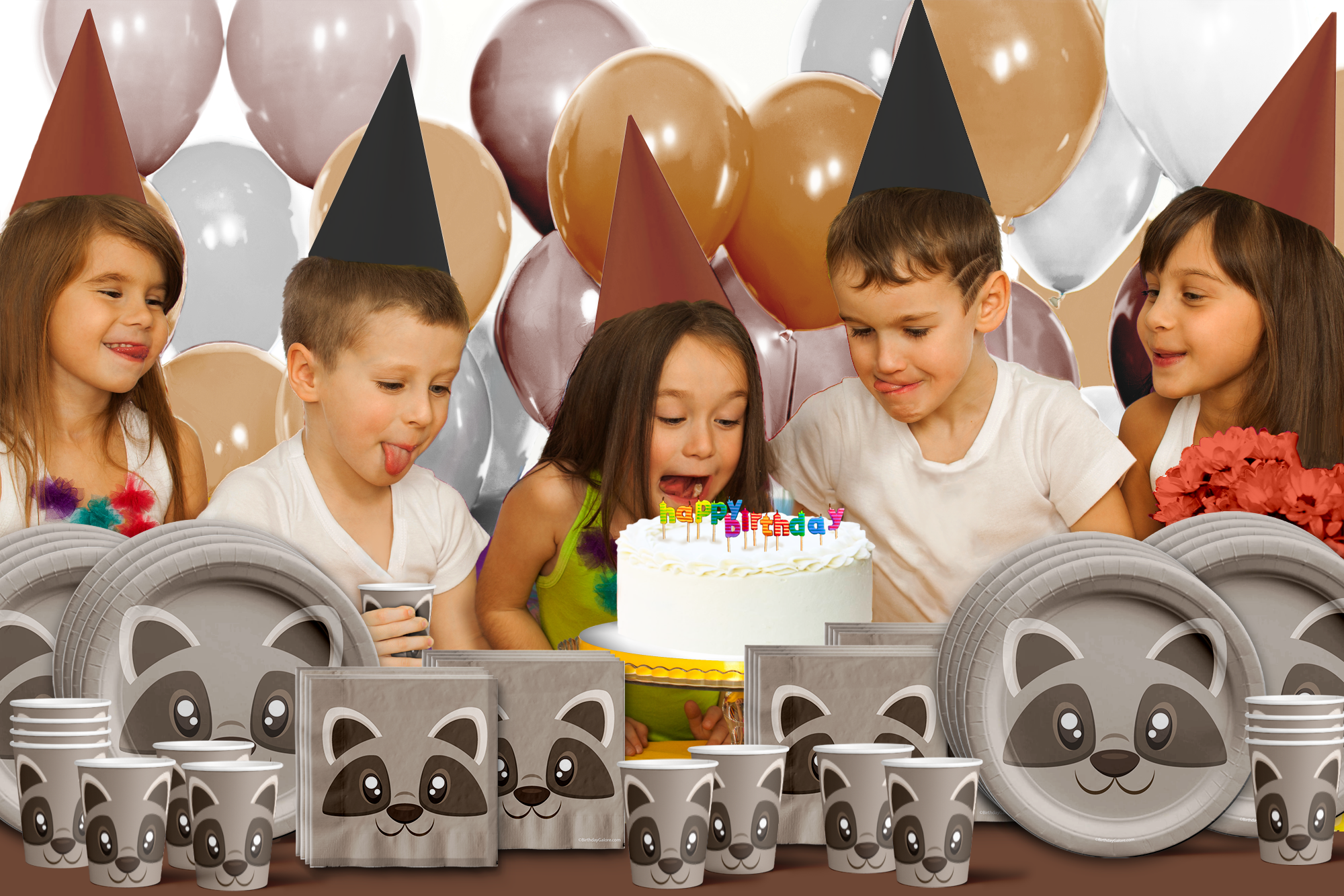 Raccoon Birthday Party Tableware Kit For 16 Guests