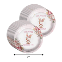 Some Bunny is Turning One 1st Birthday Party Supplies 64 Piece Tableware Set Includes Large 9" Paper Plates Dessert Plates, Cups and Napkins Kit for 16