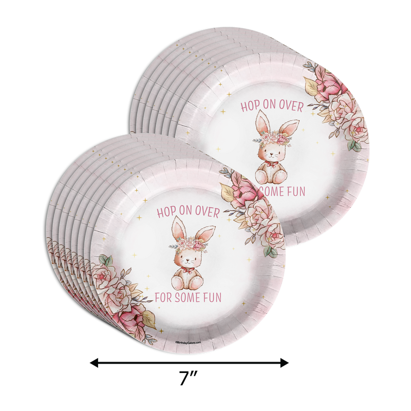 Some Bunny is Turning One 1st Birthday Party Supplies 64 Piece Tableware Set Includes Large 9" Paper Plates Dessert Plates, Cups and Napkins Kit for 16