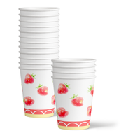 Two Sweet Strawberry 2nd Birthday Party Tableware Kit For 16 Guests 64 Piece