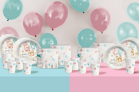 We Can Bearly Wait! Gender Reveal Party Tableware Kit For 16 Guests 64 Piece