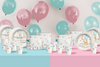 Twin Bear Baby Shower Tableware Kit For 16 Guests 64 Piece