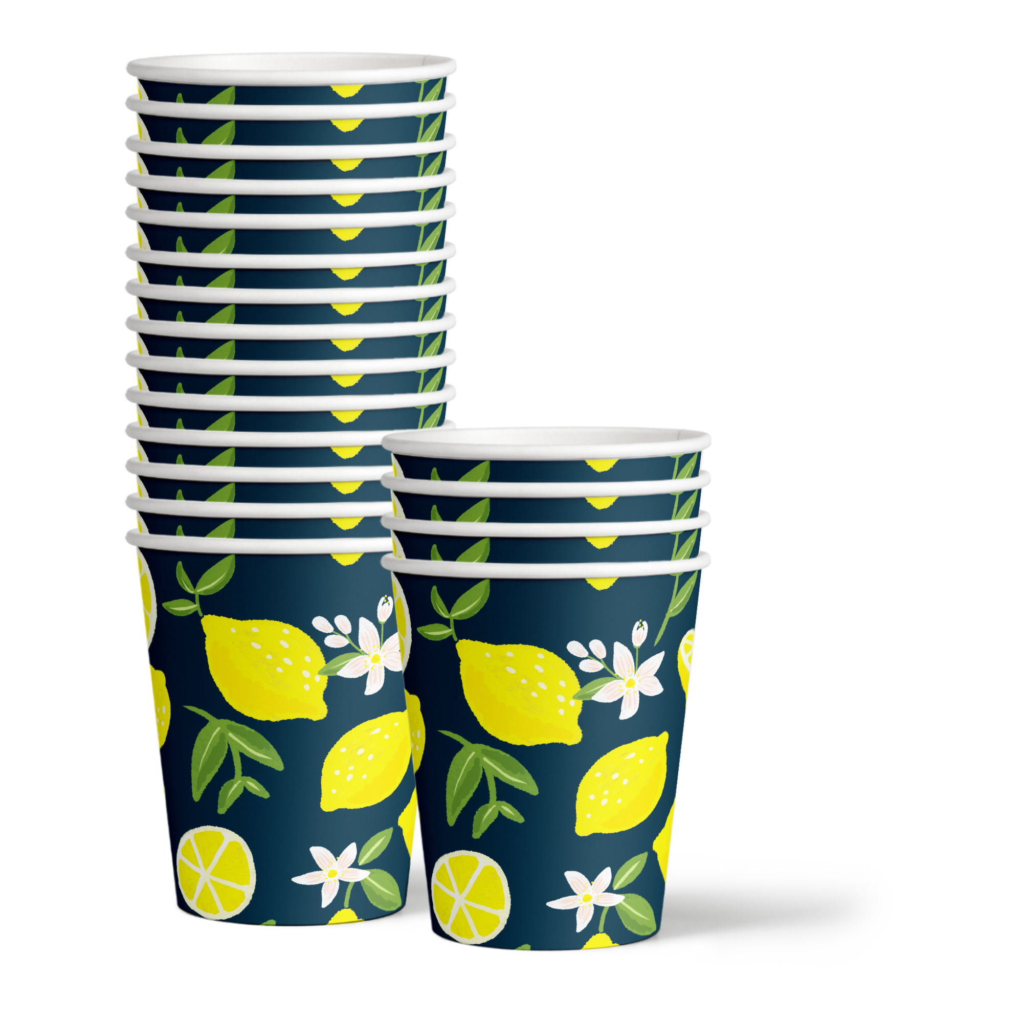 Our Main Squeeze is Turning One Lemon 1st Birthday Party Tableware Kit For 16 Guests