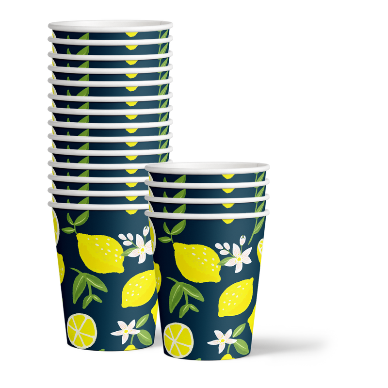 Our Main Squeeze is Turning One Lemon 1st Birthday Party Tableware Kit For 16 Guests