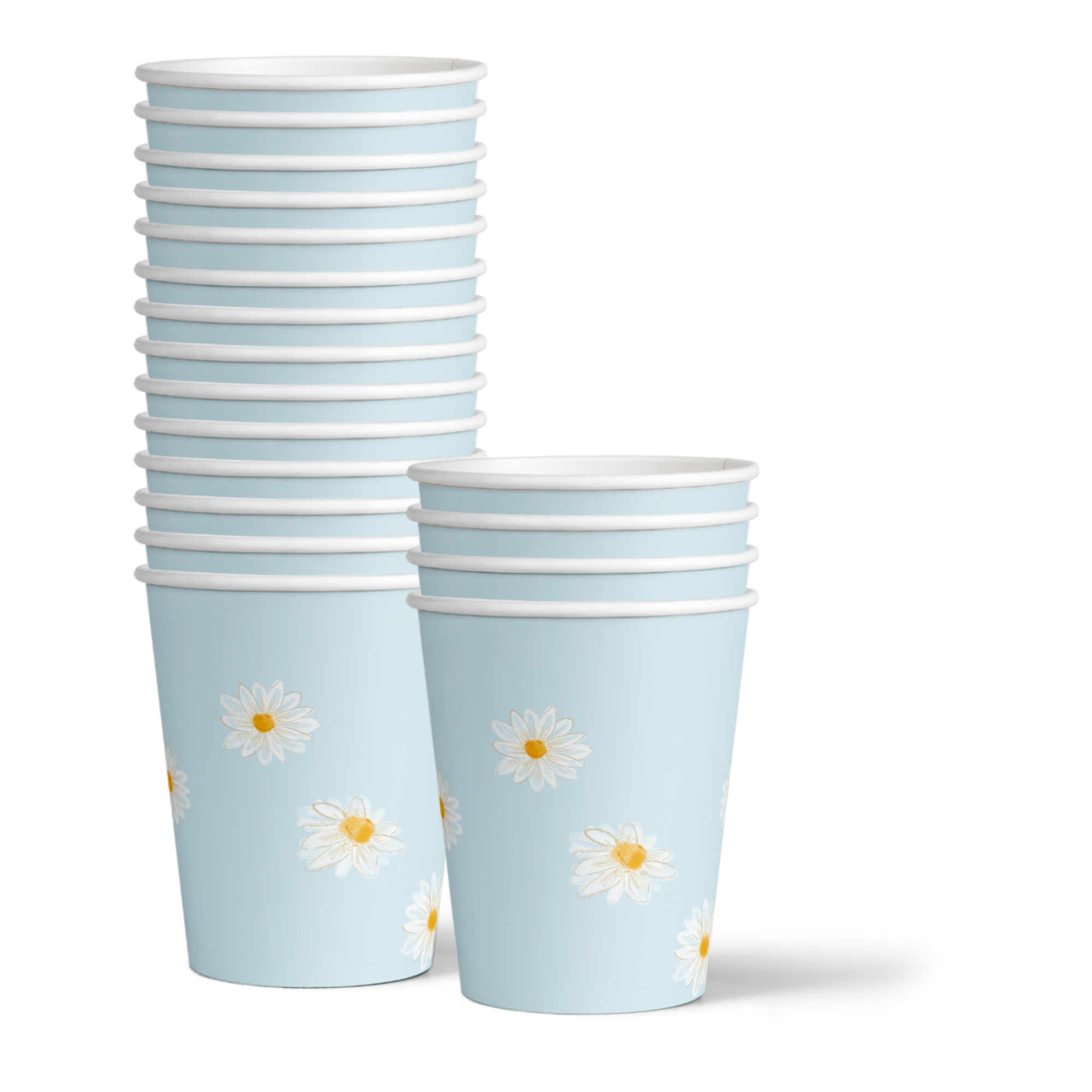 Two Wild Daisy 2nd Birthday Party Tableware Kit For 16 Guests