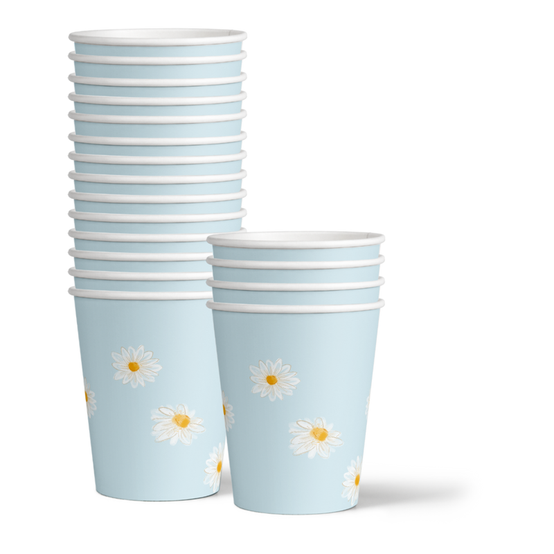 Two Wild Daisy 2nd Birthday Party Tableware Kit For 16 Guests