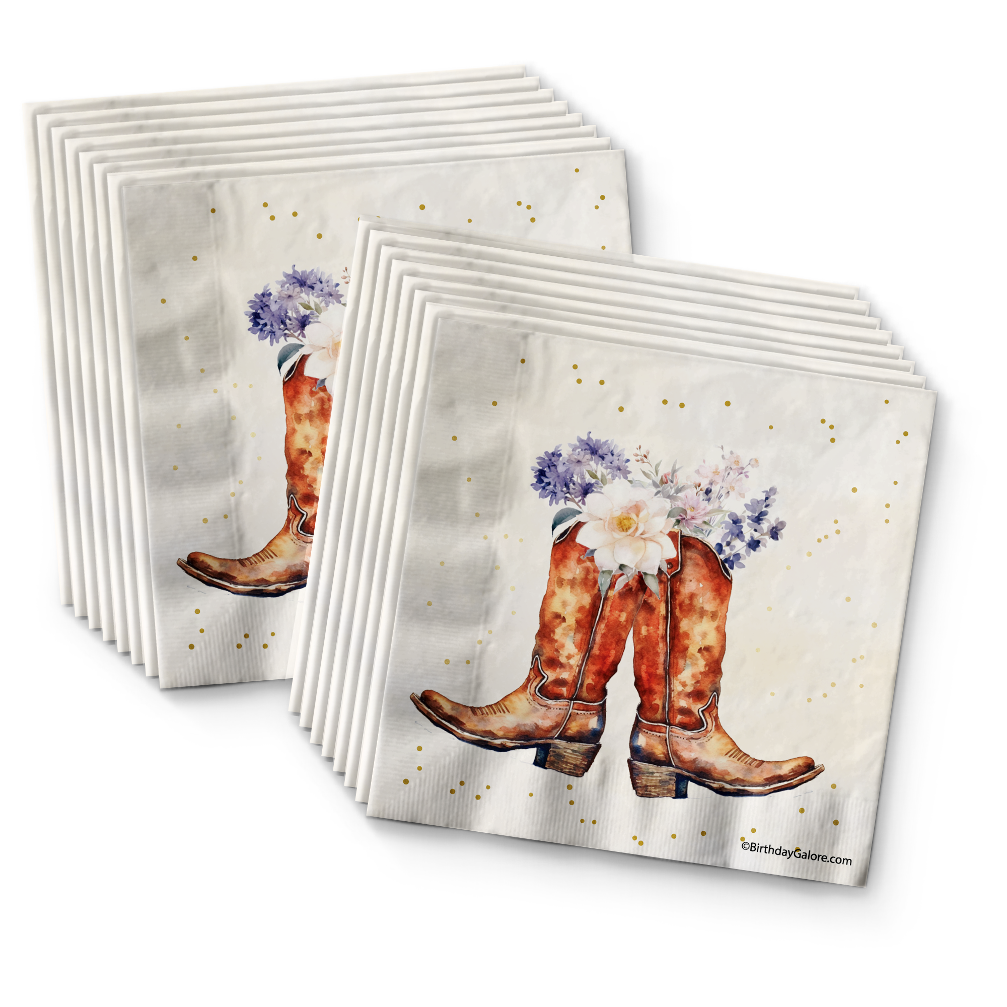 Cowgirl Boots Birthday Party Tableware Kit For 16 Guests