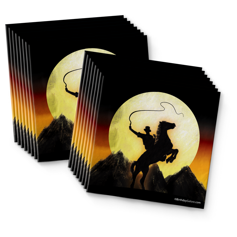 Western Adventures with Dr. Jones Birthday Party Tableware Kit For 16 Guests
