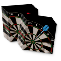 Darts Birthday Party Tableware Kit For 16 Guests