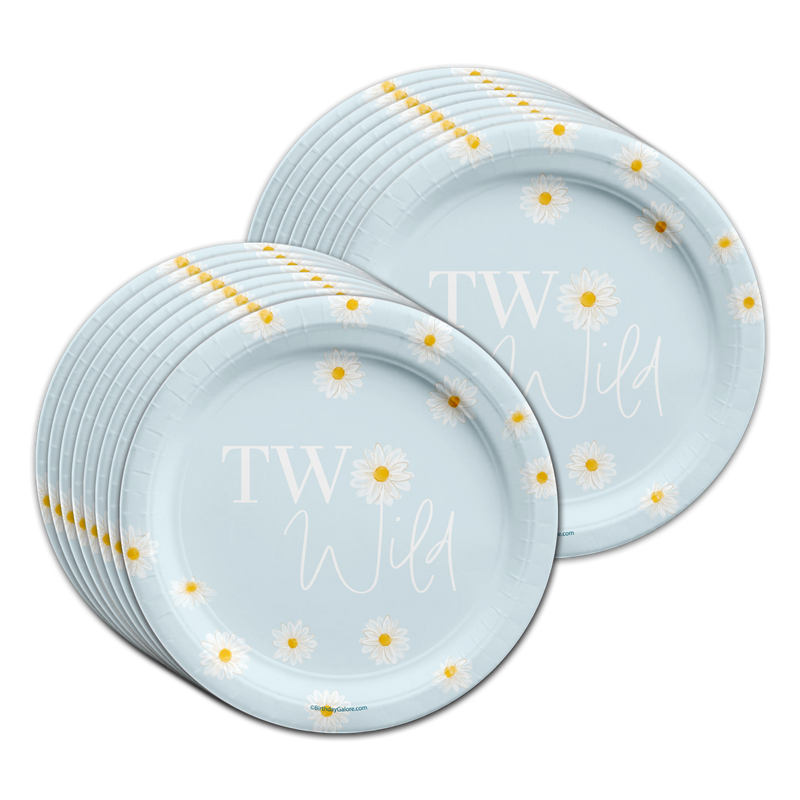 Two Wild Daisy 2nd Birthday Party Tableware Kit For 16 Guests