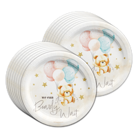 Twin Bear Baby Shower Tableware Kit For 16 Guests 64 Piece