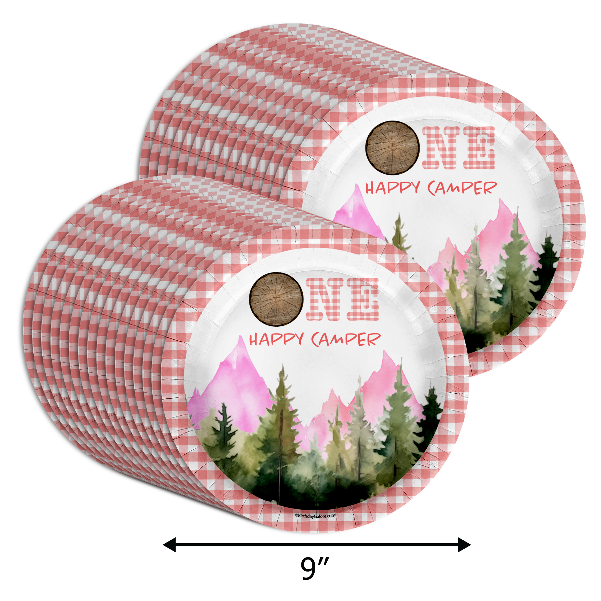 One Happy Camper Girl's 1st Birthday Party Supplies Large 9" Paper Plates in Bulk 32 Piece