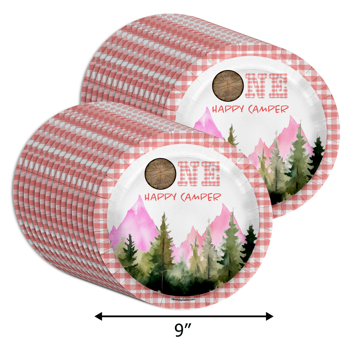 One Happy Camper Girl's 1st Birthday Party Supplies Large 9" Paper Plates in Bulk 32 Piece