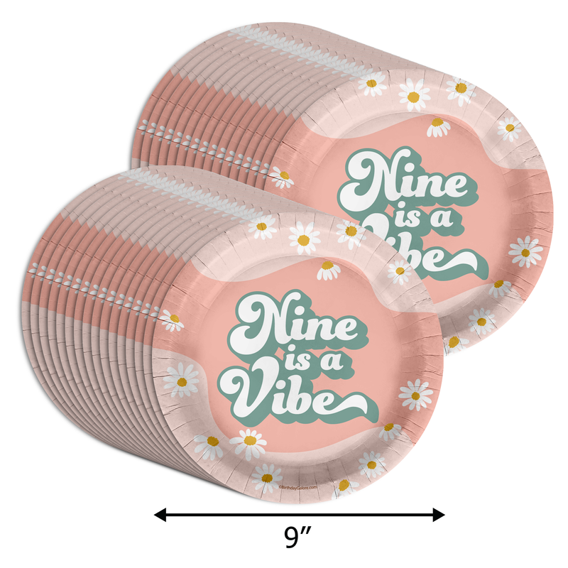Nine is a Vibe Birthday Party 9" Dinner Plates 32 Count