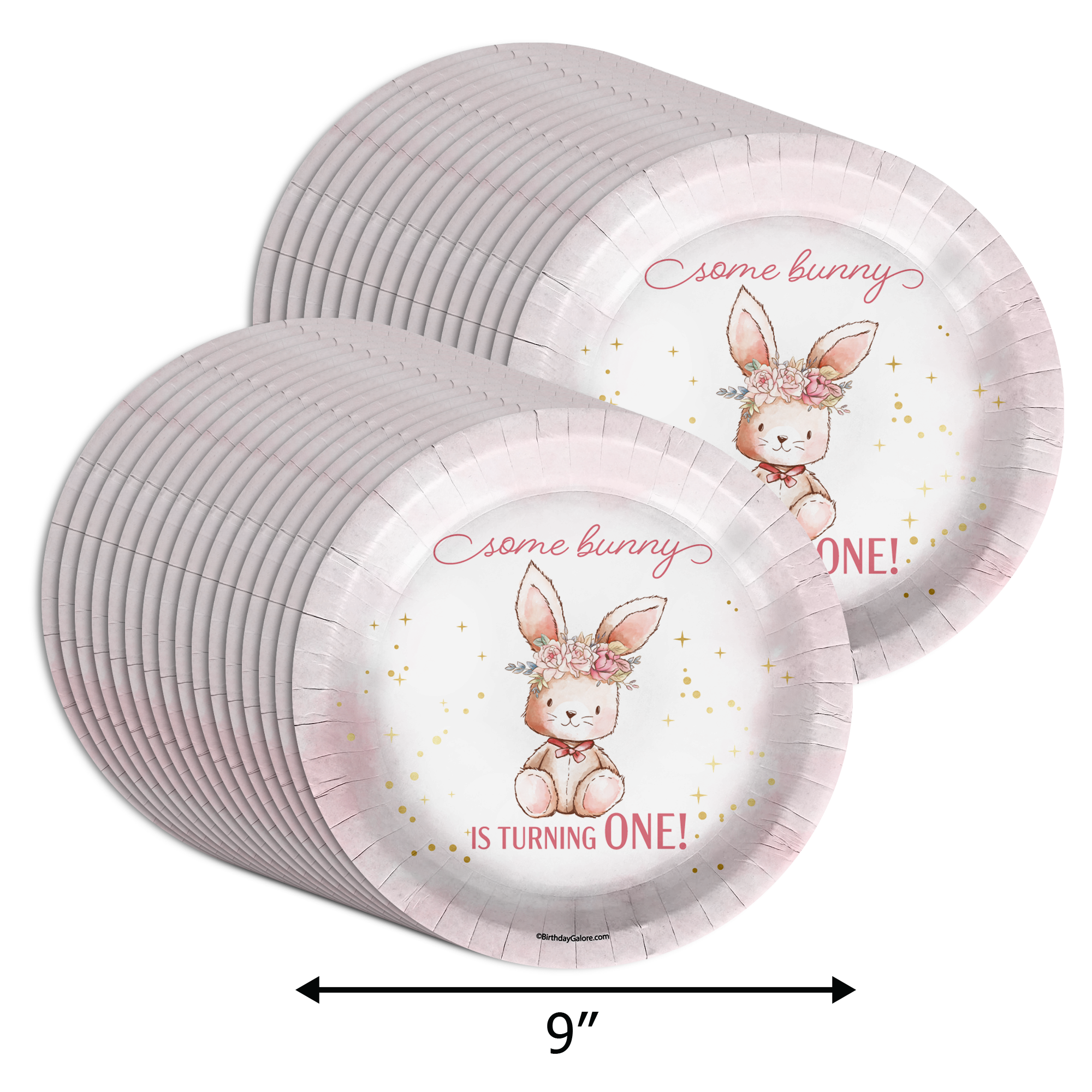 Some Bunny is Turning One First Birthday Party Supplies Large 9" Paper Plates in Bulk 32 Piece