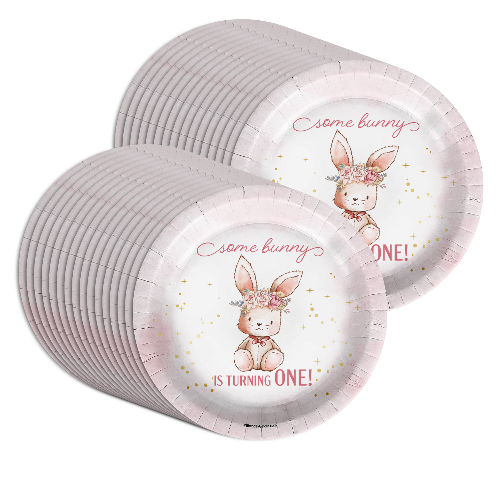 Some Bunny is Turning One First Birthday Party Supplies Large 9" Paper Plates in Bulk 32 Piece
