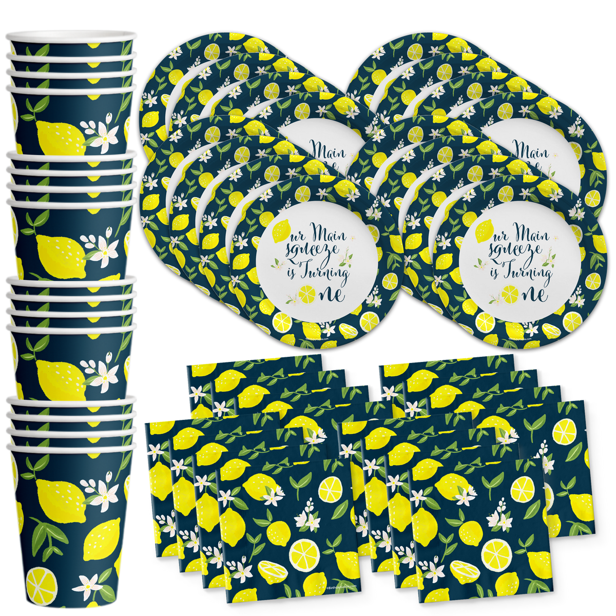 Our Main Squeeze is Turning One Lemon 1st Birthday Party Tableware Kit