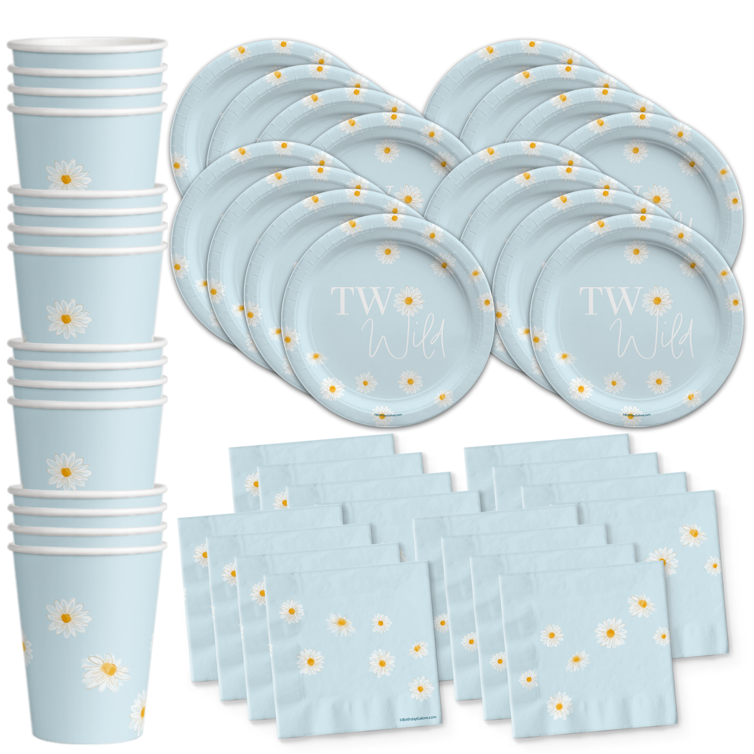 Two Wild Daisy 2nd Birthday Party Tableware Kit For 16 Guests