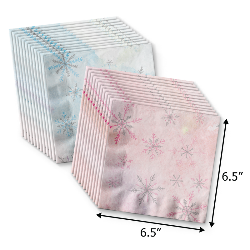 What Will the Little Snowflake Be? Gender Reveal Tableware Kit For 24 Guests