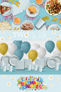 Two Wild Daisy 2nd Birthday Party Tableware Kit For 16 Guests