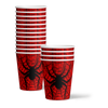 Spiderweb Birthday Party Tableware Kit For 16 Guests