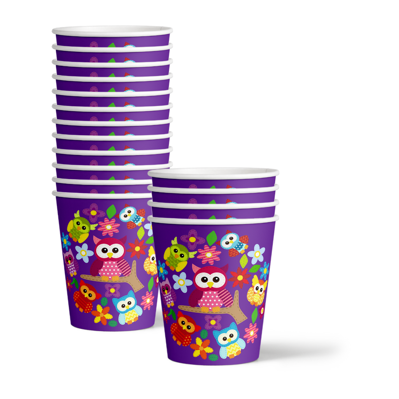 Patchwork Owl Birthday Party Tableware Kit For 16 Guests - BirthdayGalore.com