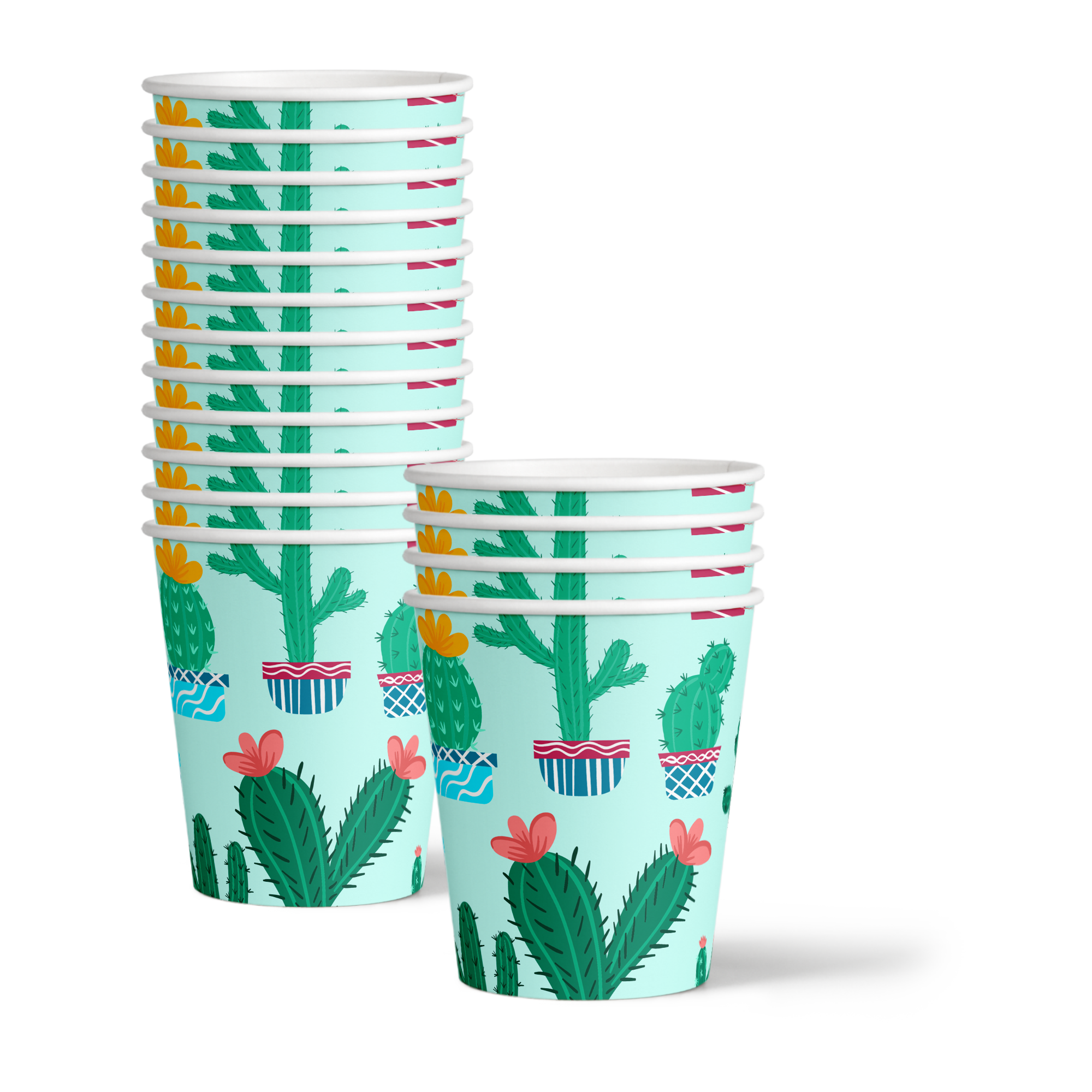 Cactus Birthday Party Tableware Kit For 16 Guests - BirthdayGalore.com