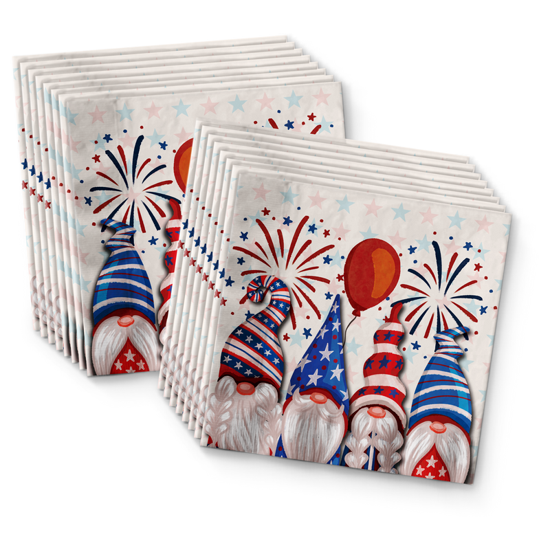 Patriotic Gnomes Birthday Party Tableware Kit For 16 Guests