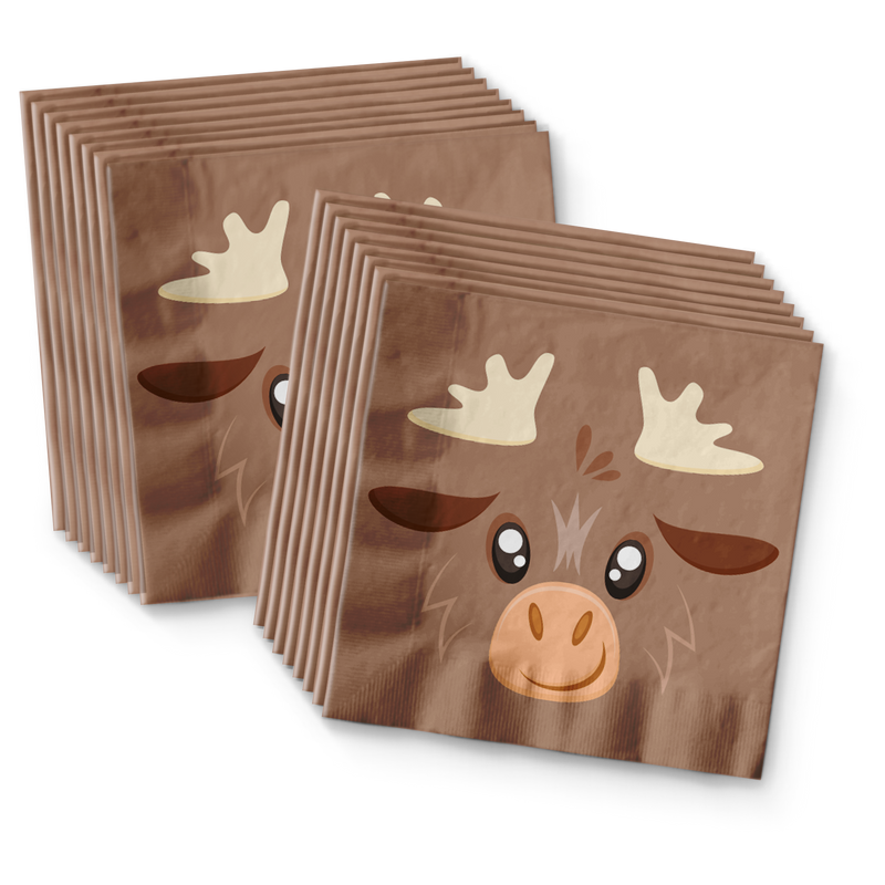 Moose Birthday Party Tableware Kit For 16 Guests