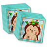 Hedgehog Birthday Party Tableware Kit For 16 Guests