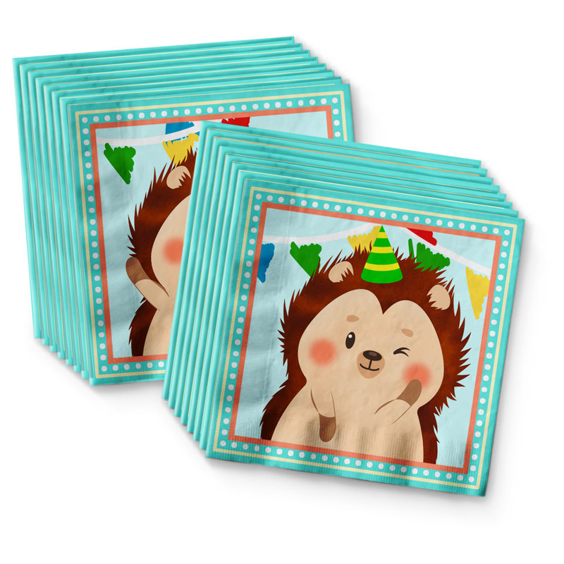 Hedgehog Birthday Party Tableware Kit For 16 Guests
