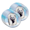 Polar Bear Birthday Party Tableware Kit For 16 Guests