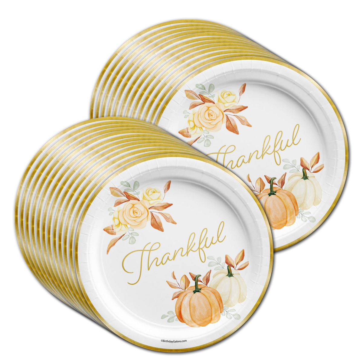 Thanksgiving Holiday Party Tableware Kit For 24 Guests