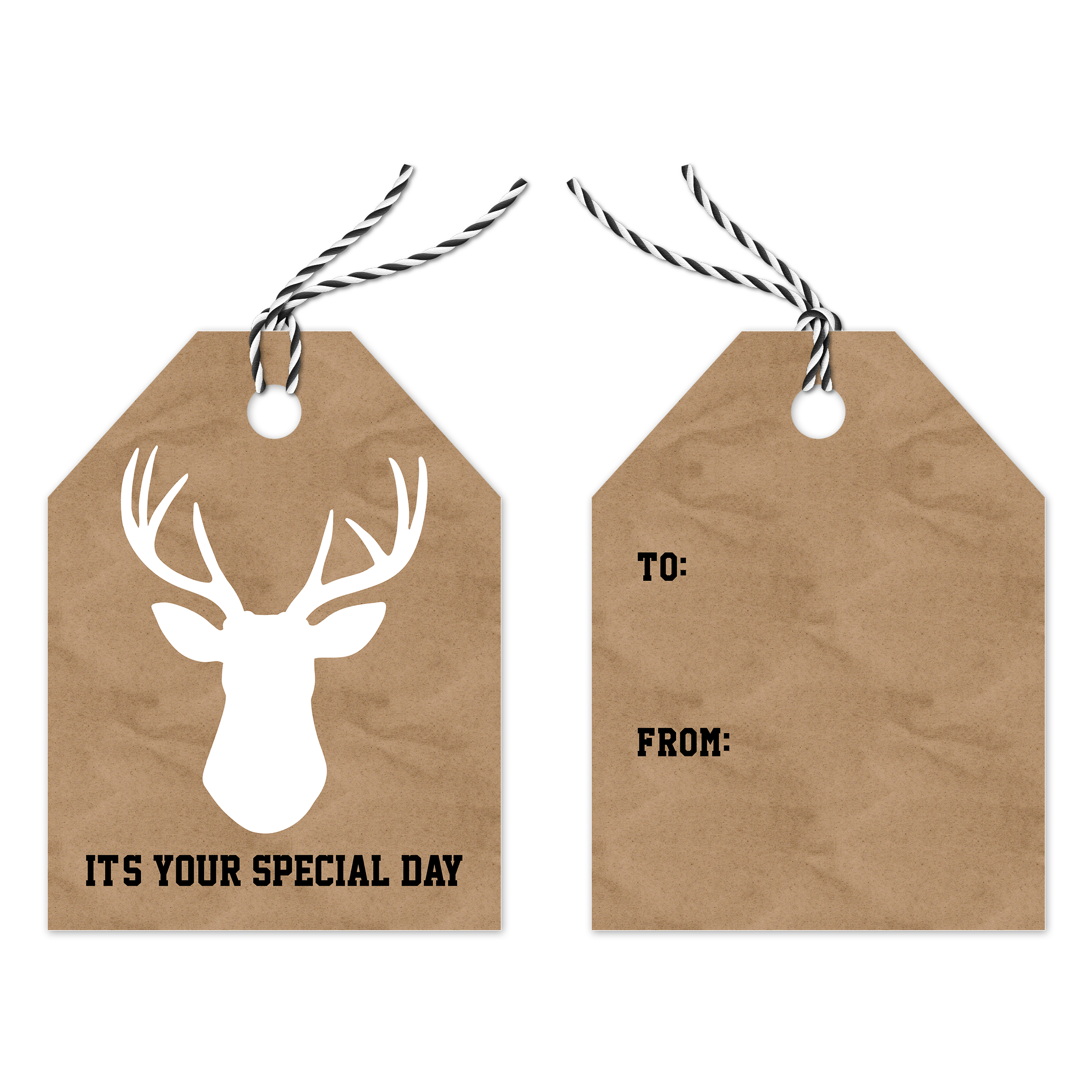 Masculine Assortment Gift Tags