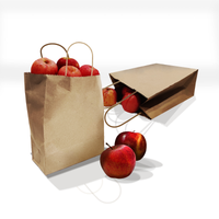 Brown Kraft Bags 8x4.5x10.5 inch