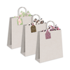 Leopard Print Assortment Gift Tags