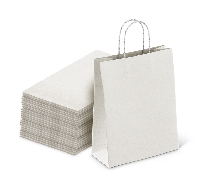 White Kraft Bags 8x4.5x10.5 inch 50 Bags