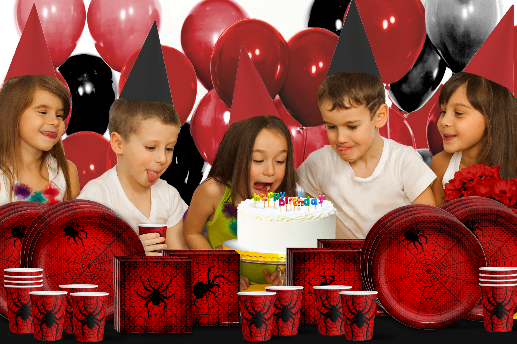 Spiderweb Birthday Party Tableware Kit For 16 Guests