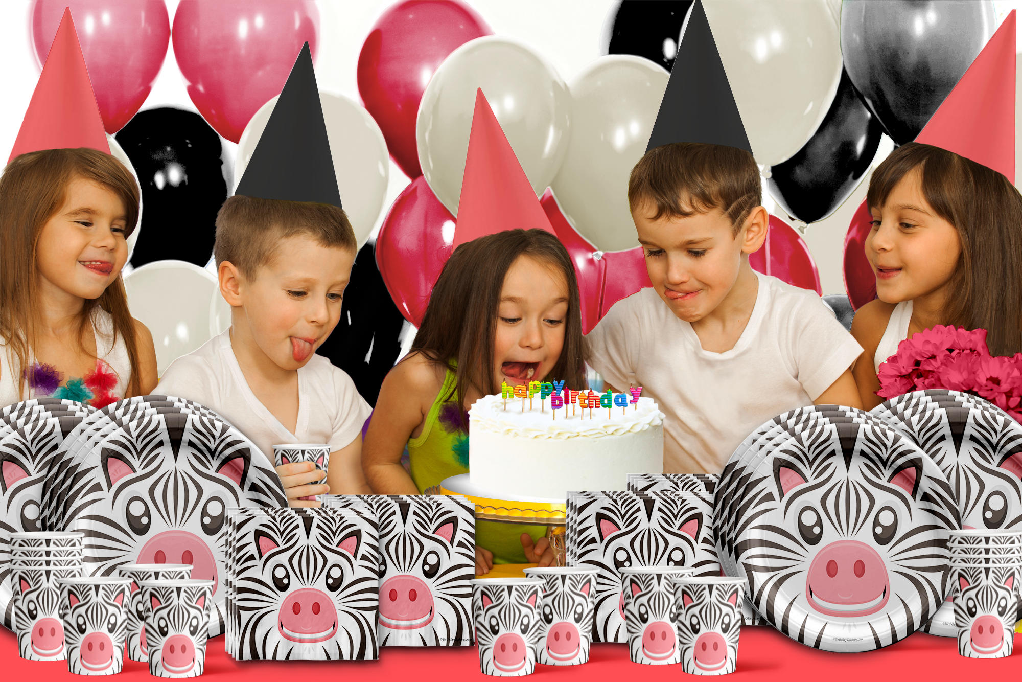 Zebra Birthday Party Tableware Kit For 16 Guests